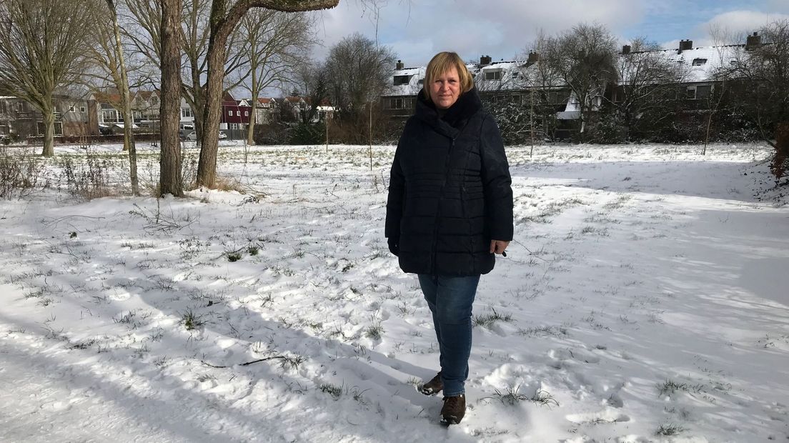 Raadslid Progressief Woerden: 'Snel binnen dorpskern bouwen anders komen polders eerder in beeld'