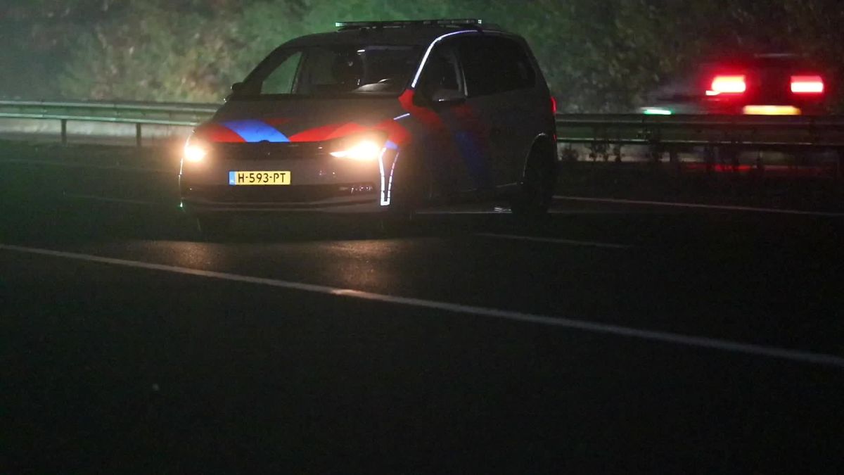 Automobilist uit Enter betrokken bij dodelijk ongeval op A1 bij Radio Kootwijk