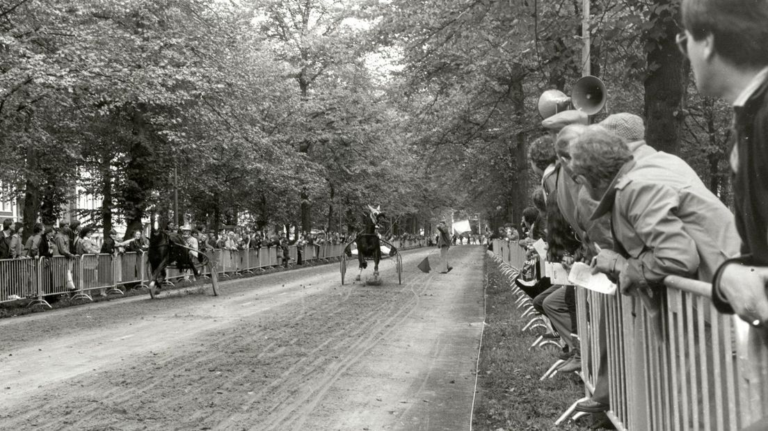 Paardenrace op de Maliebaan in 1982.