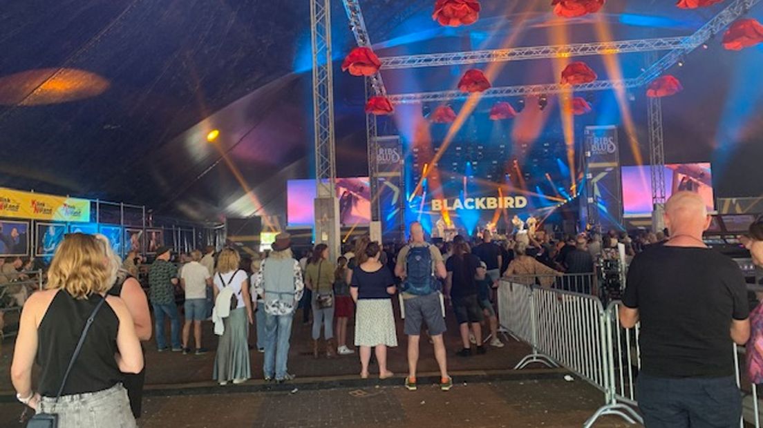 Ribs en Bleus Raalte viert 25 jarig jubileum, maar festival is niet langer gratis