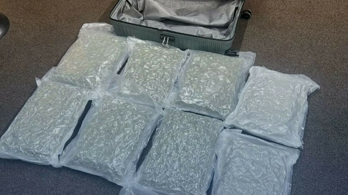 Koffer met zakken hennep: man (30) opgepakt in Leeuwarden