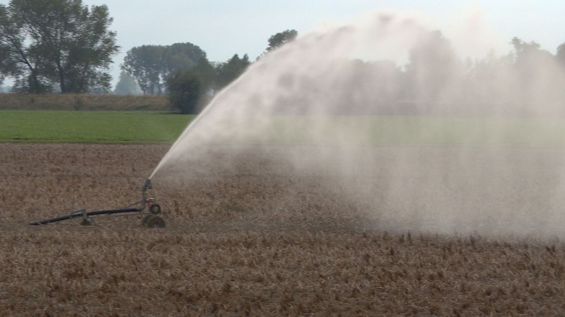 Dit kan niet overal in Zeeland: beregenen met zoet grondwater