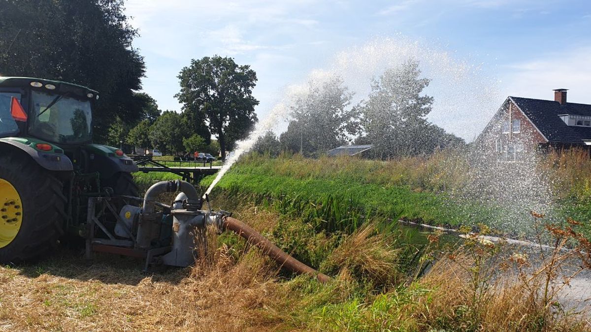 Waterschap vist driehonderd kilo dode vis uit Middenraai