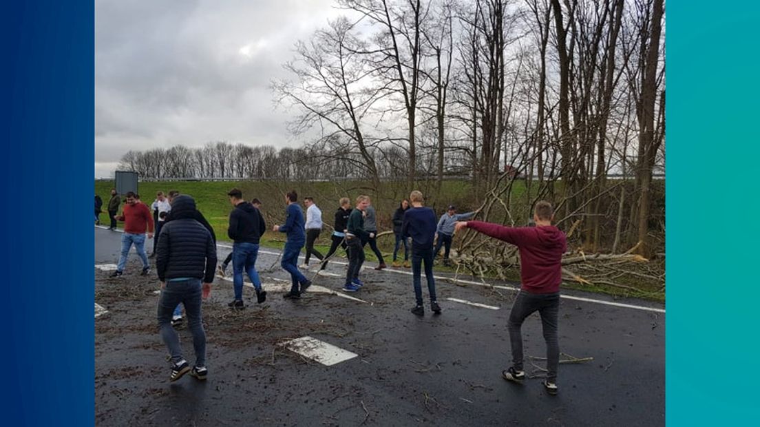FC Twente supporters vinden boom op de snelweg