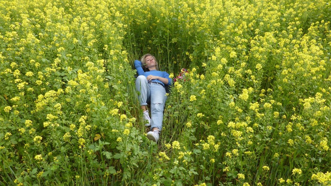 Promotiebeeld Noord op de Schaal van Richter