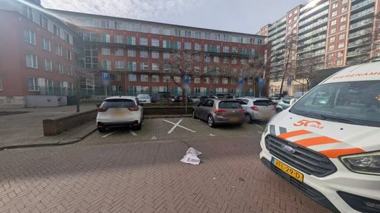 Kat na zware mishandeling voor dood achtergelaten op straat Home