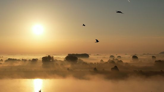 ZIEN | Dronebeelden tonen magische herfstochtend