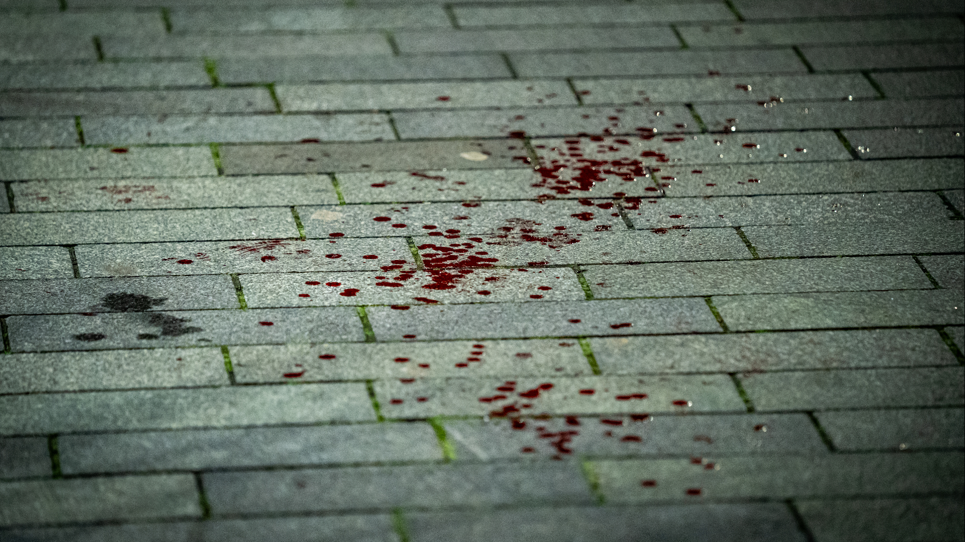 Bloedspoor na steekpartij op Lijnbaan.