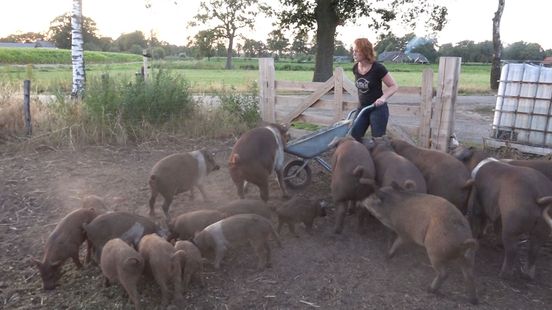Boerin Inge naar Brussel voor einde aan kooien voor varkens