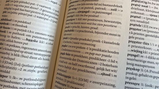 Je accent of dialect overdrijven? Taalwetenschappers zien steeds meer 'hyperdialect': hoe zit dat? Home