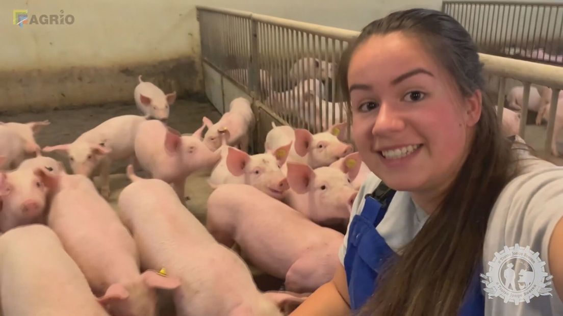 Boerin Vivianne uit Rilland vlogt over haar werk en leven op de boerderij
