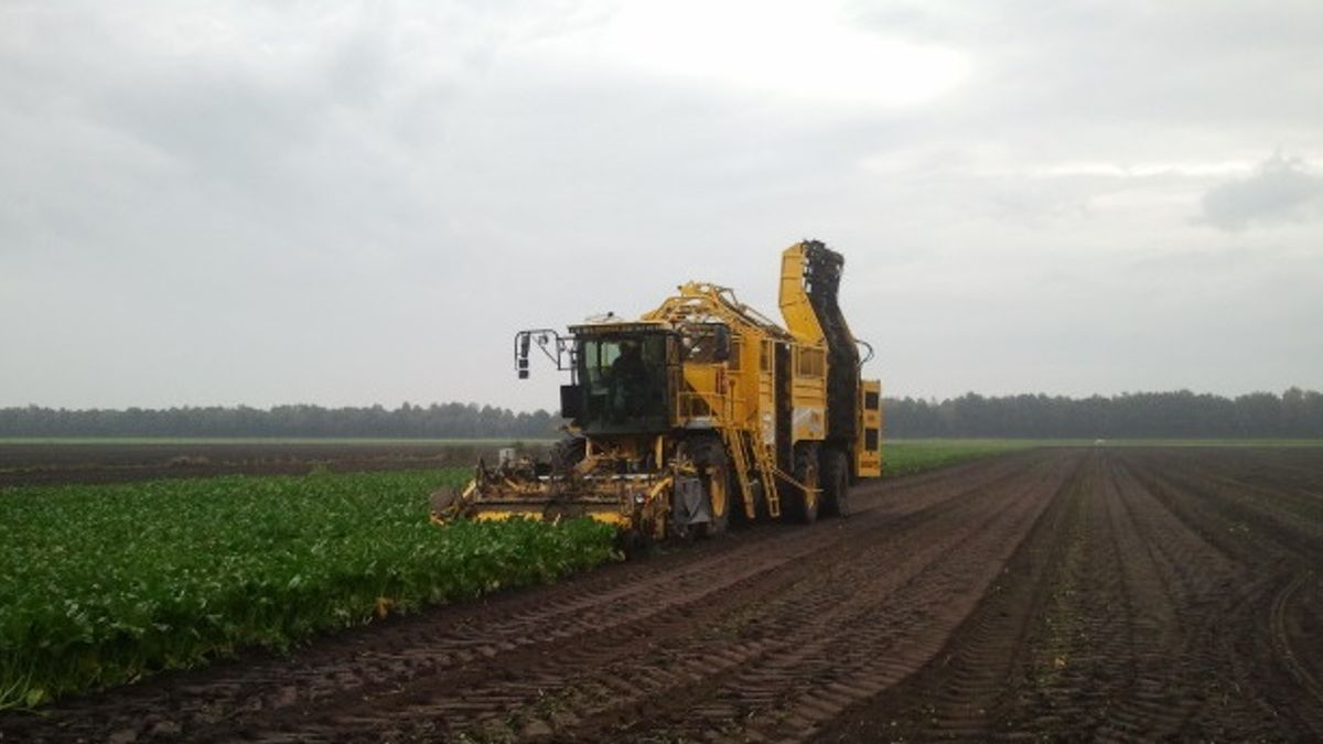 Grootste bietenrooier van Nederland in Witteveen