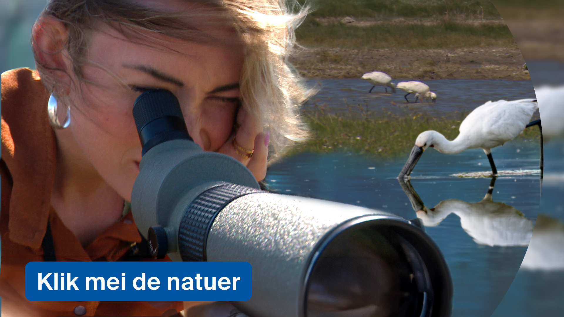 Klik mei de natuer