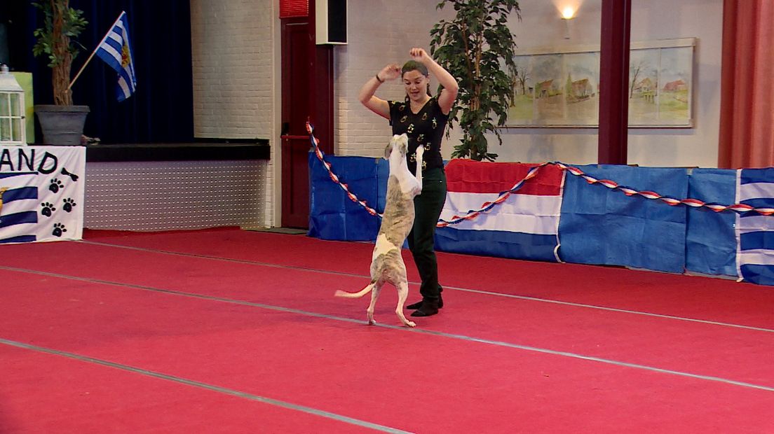 'Mijn man heeft soms geen zin, maar mijn hond wil altijd'