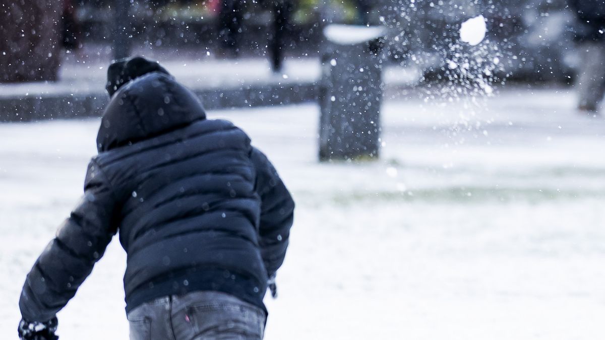 Jongeren aangehouden voor gooien ijsballen naar auto's en voorbijgangers