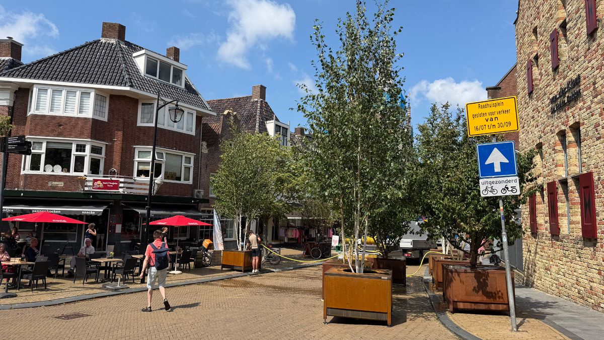 Raadhuisplein in Franeker krijgt tijdelijk meer bomen: 