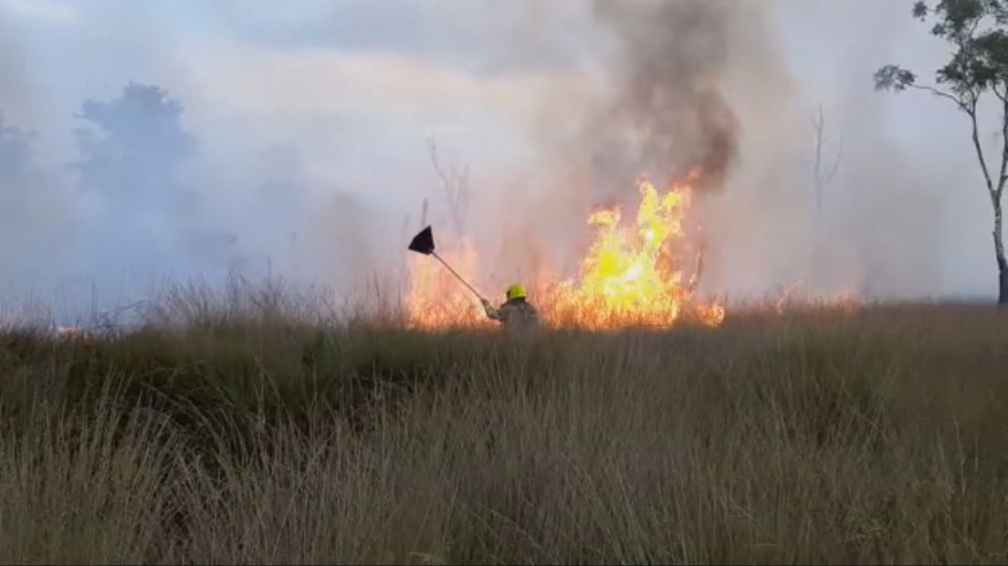 De brandweer blust de grote brand in De Peel