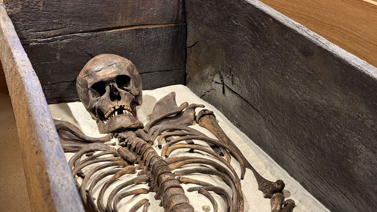 Nieuw onderzoek werpt ander licht op mysterieus eeuwenoud skelet in Coevorden: 'Geen Spanjaard'
