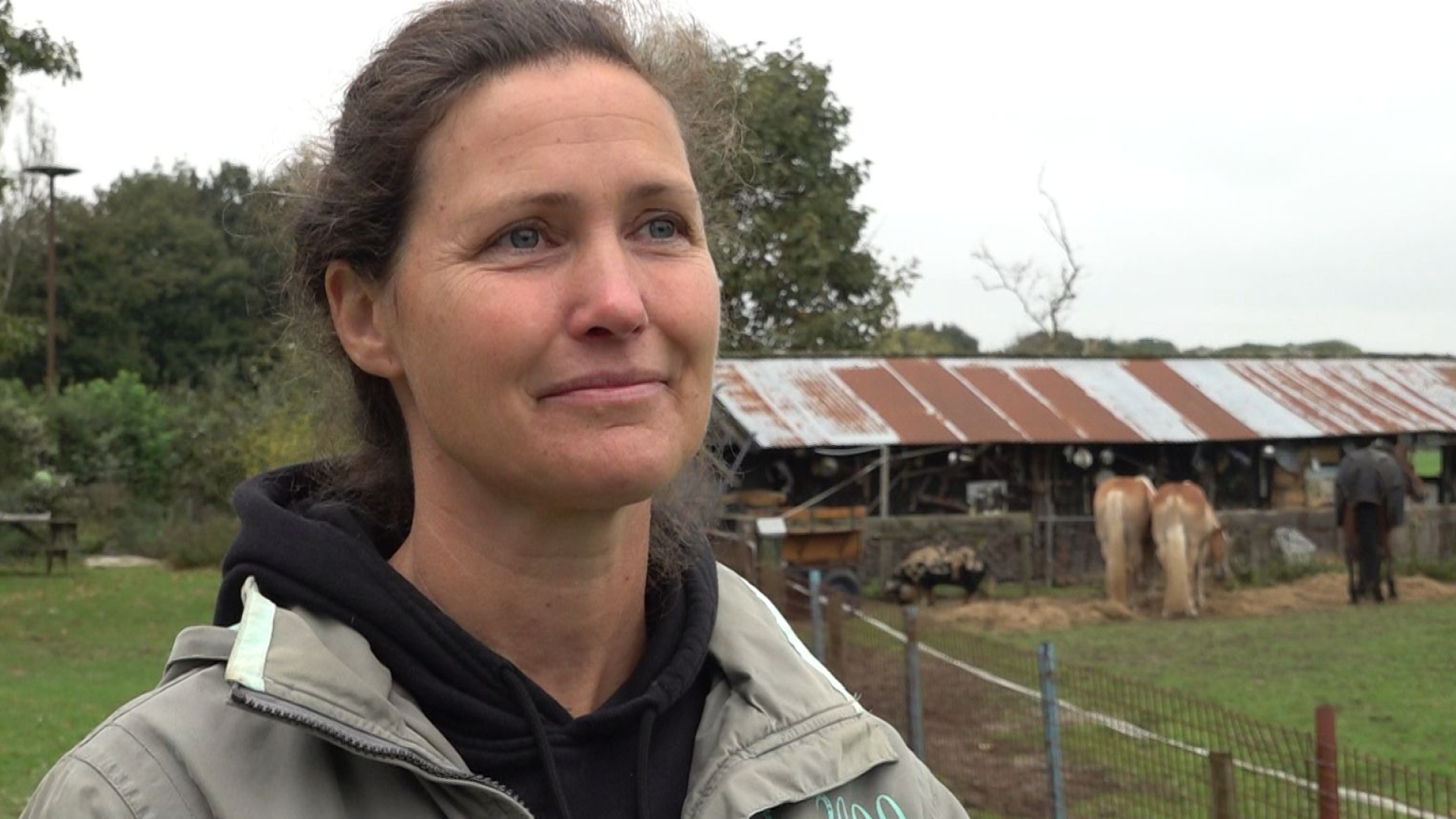 Oud-politieagent Anneke heeft haar dienstpaard weer terug: 'We zijn gewoon verbonden aan elkaar'