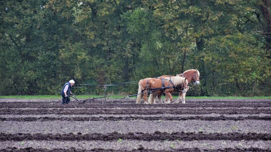Wat is er dit weekend te doen in Drenthe? Wat is er dit weekend te doen in Drenthe?