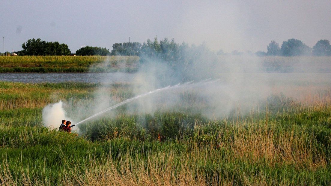 De brand ontstond in het riet langs de Lek