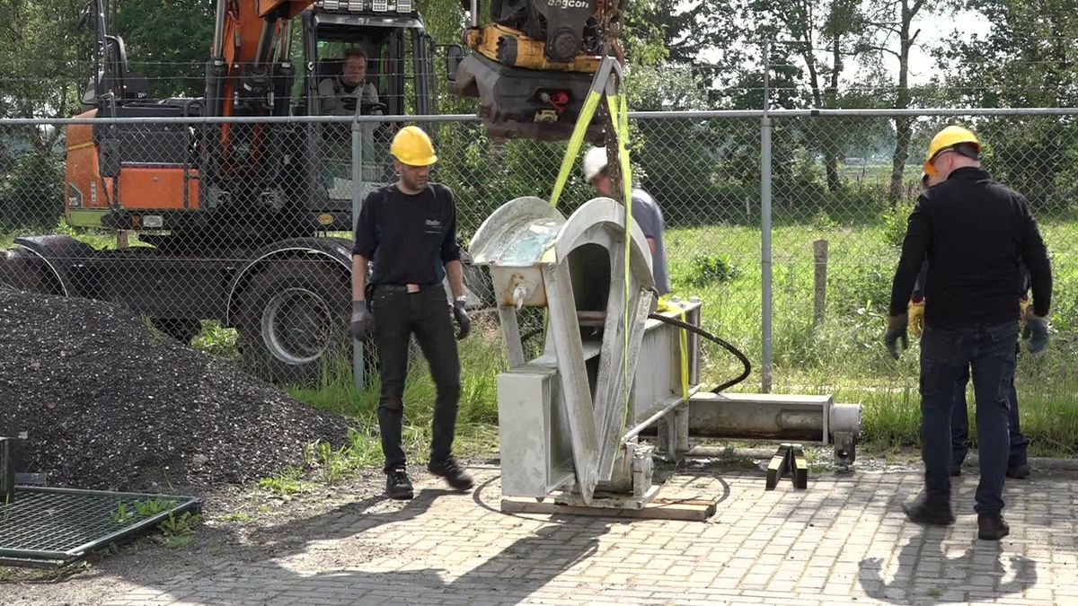 Jaknikker in Nieuw-Schoonebeek