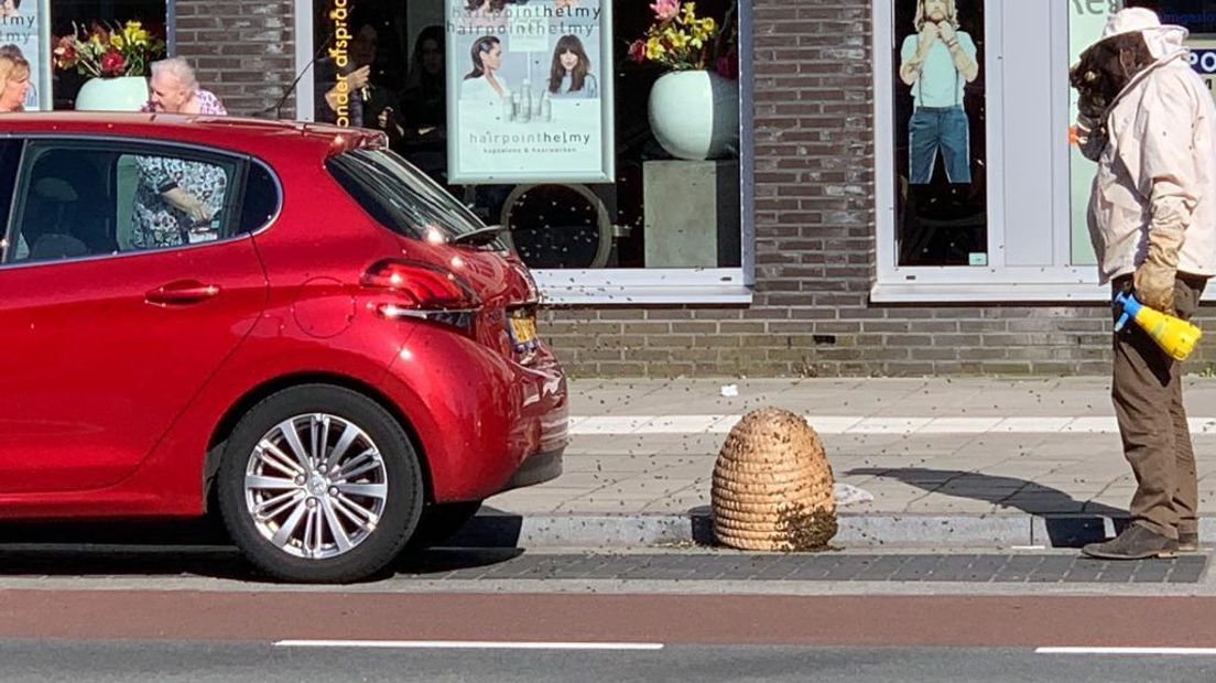 Na een half uurtje werden de bijen verwijderd (Rechten: Marcel Rensink)