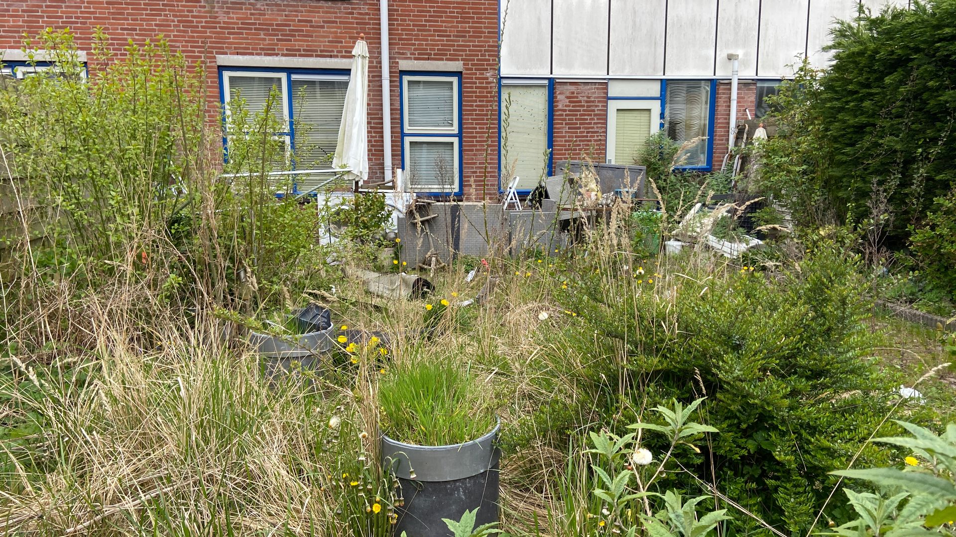 Ongeloof In Straat Nadat Twee Buren Al Weken Eenzaam Dood In Huis ...