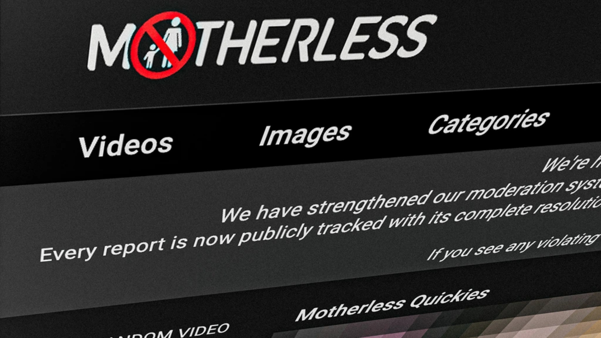 De politie heeft in Steenbergen, Rotterdam en Amsterdam invallen gedaan bij het hostingbedrijf van de pornosite Motherless.