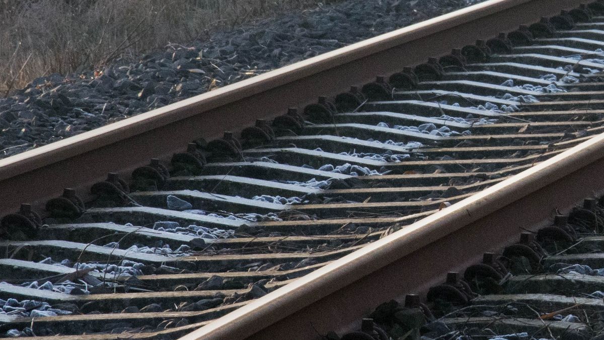 Treinen tussen Leeuwarden en Hurdegaryp rijden weer na wisselstoring