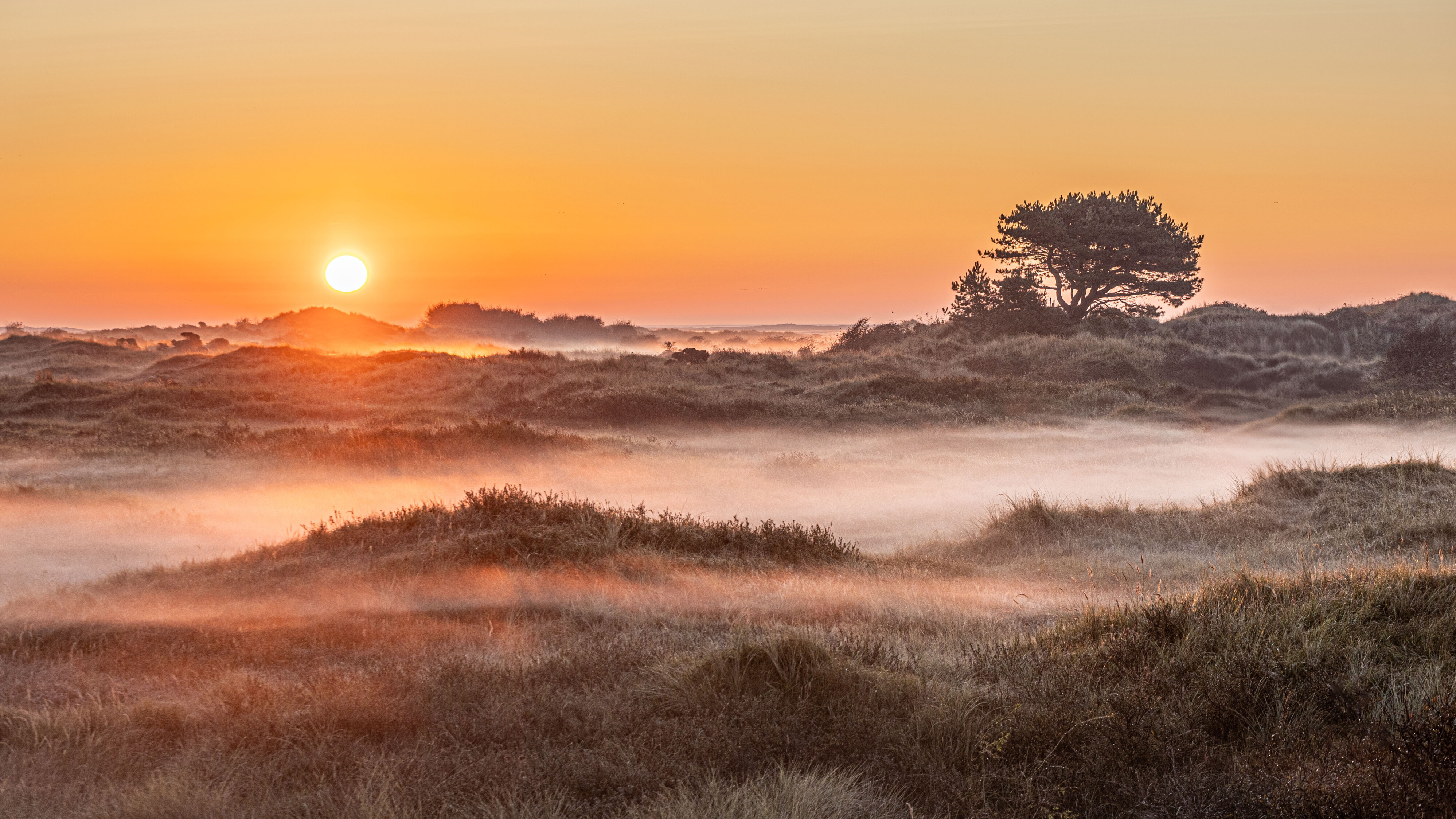 Mist in de duinen van Ameland