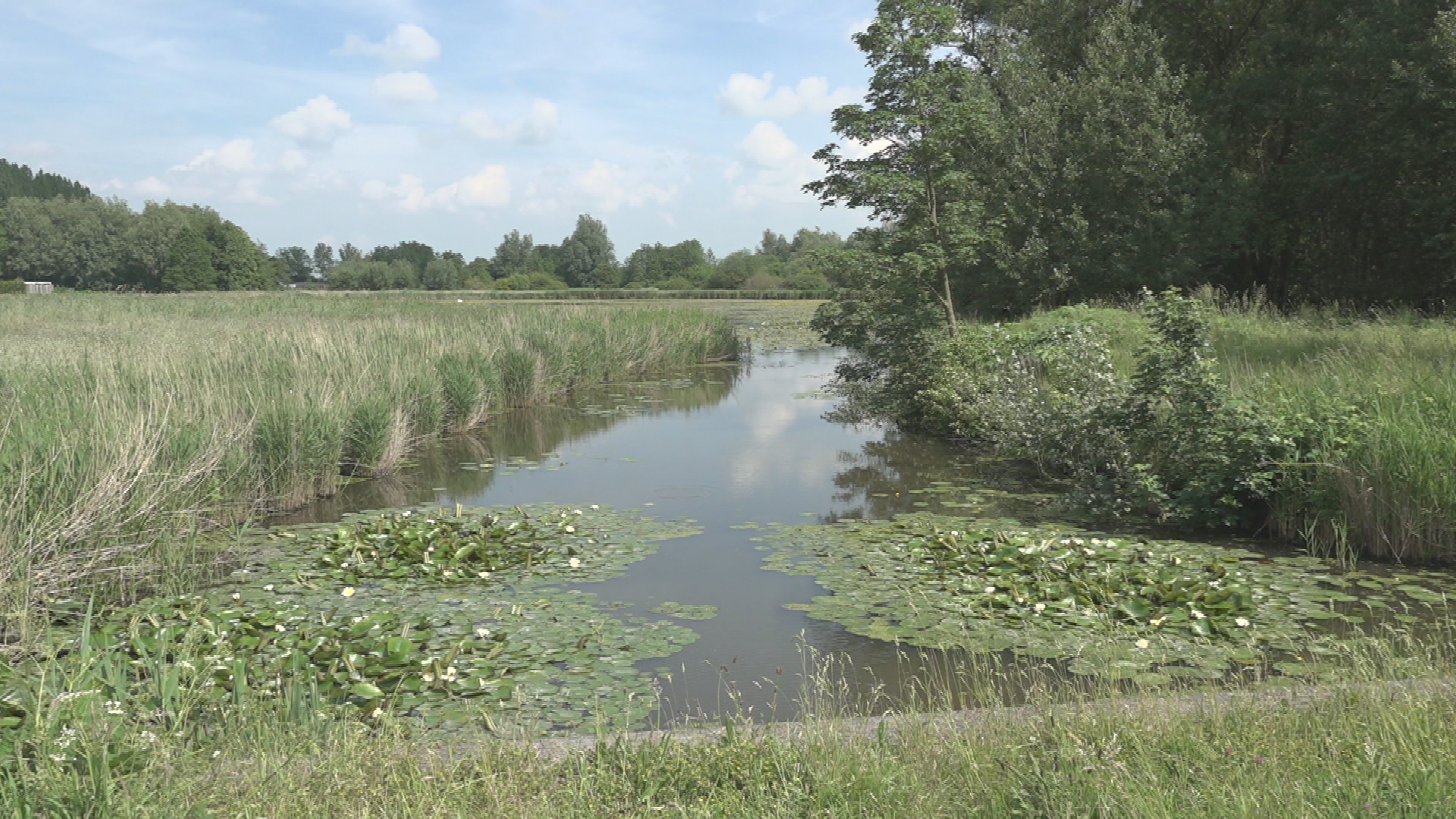 Wetterskip is extra voorzichtig bij onderhoud aan PFOS-vaarten