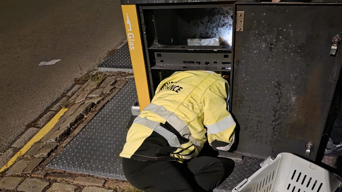 Kat Joep na veel moeite uit glasbak Middelburg gered
