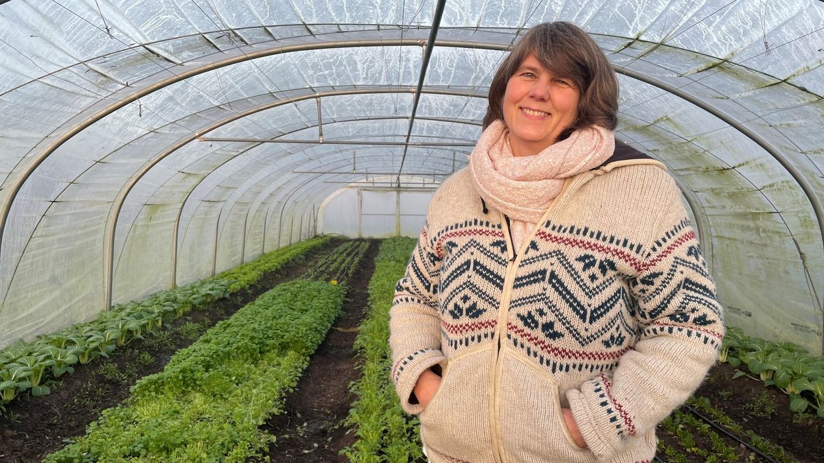 'Mienskipstún' Sibrandabuorren in stukjes verkocht aan natuurliefhebbers