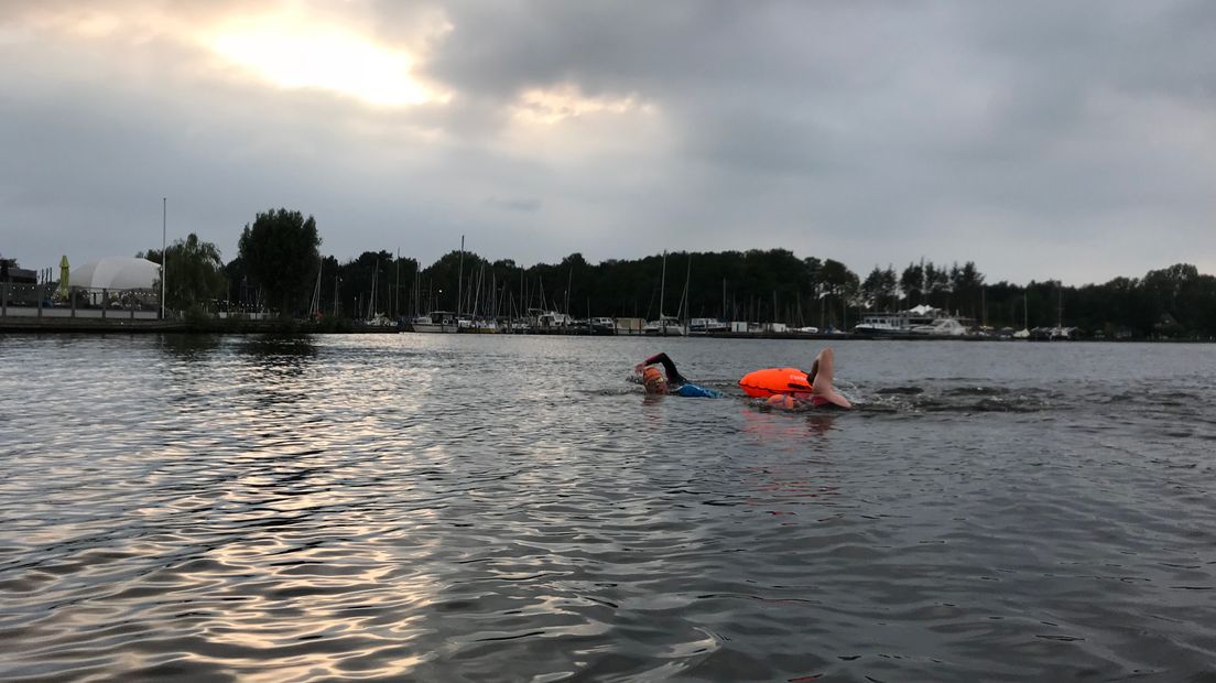 De Vosjes zijn fanatieke zwemmers (Rechten: RTV Drenthe