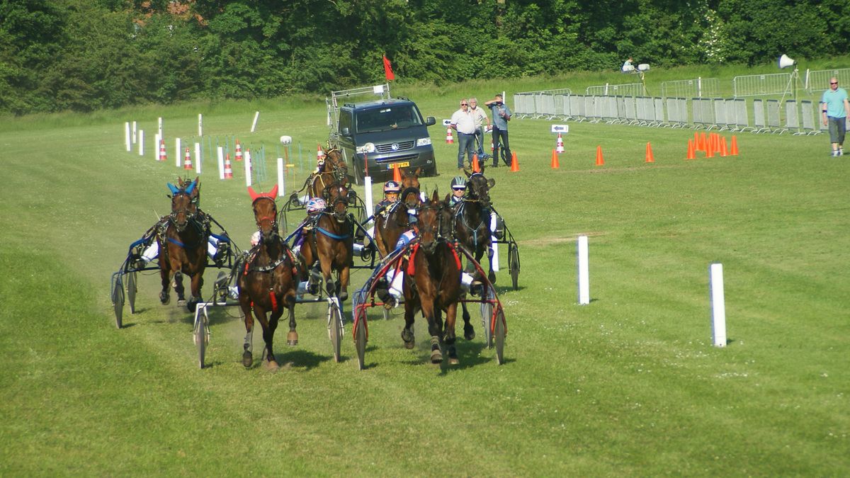 Nieuw bestuur mikt op eerste draverij in jaren op grasbaan van Aduard