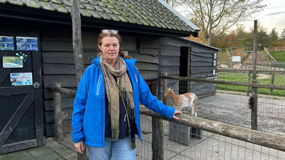 Zwolse kinderboerderij niet blij met vuurwerkshow gemeente: 'Stress voor dieren'