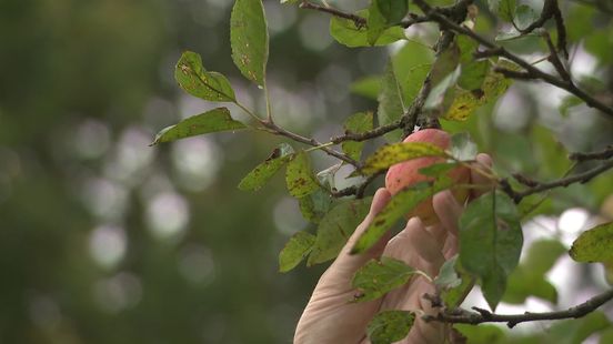 Grootschalig DNA-onderzoek in Frederiksoord