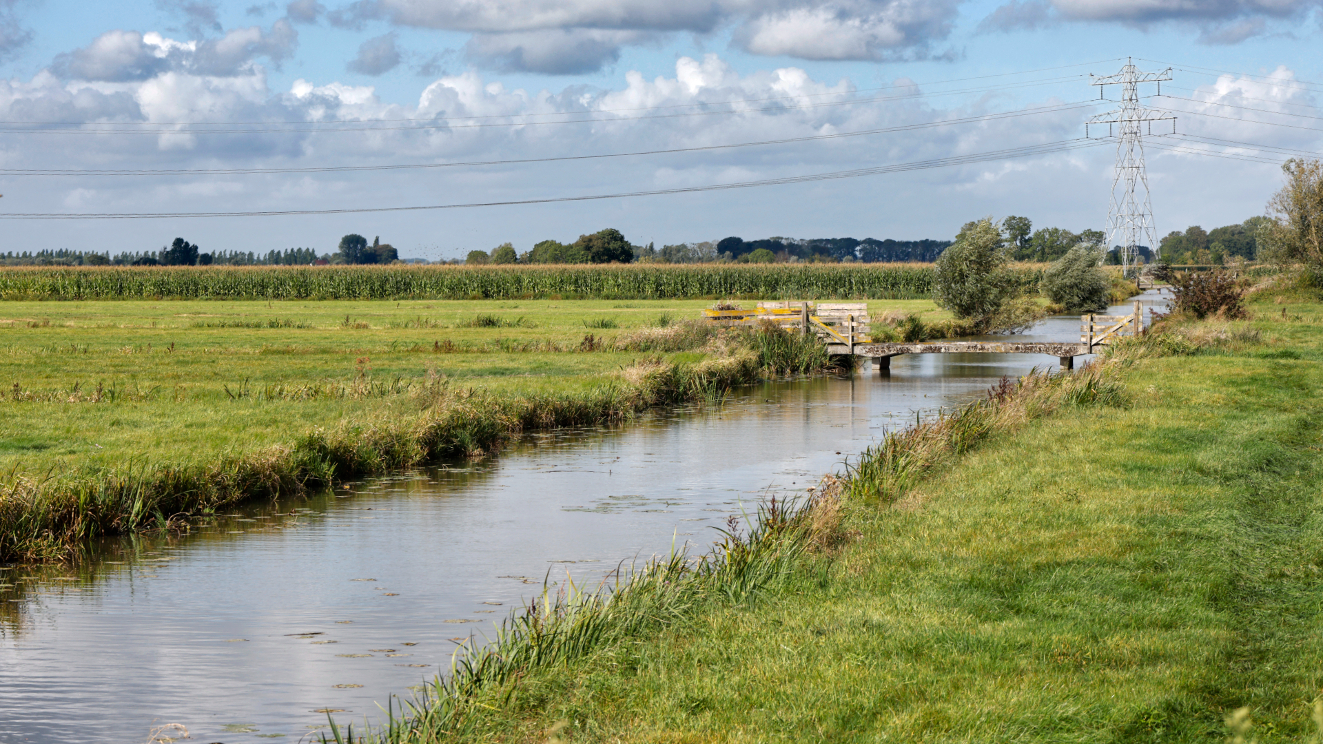 Utrechtse raad staat te popelen om Polder Rijnenburg in te vullen