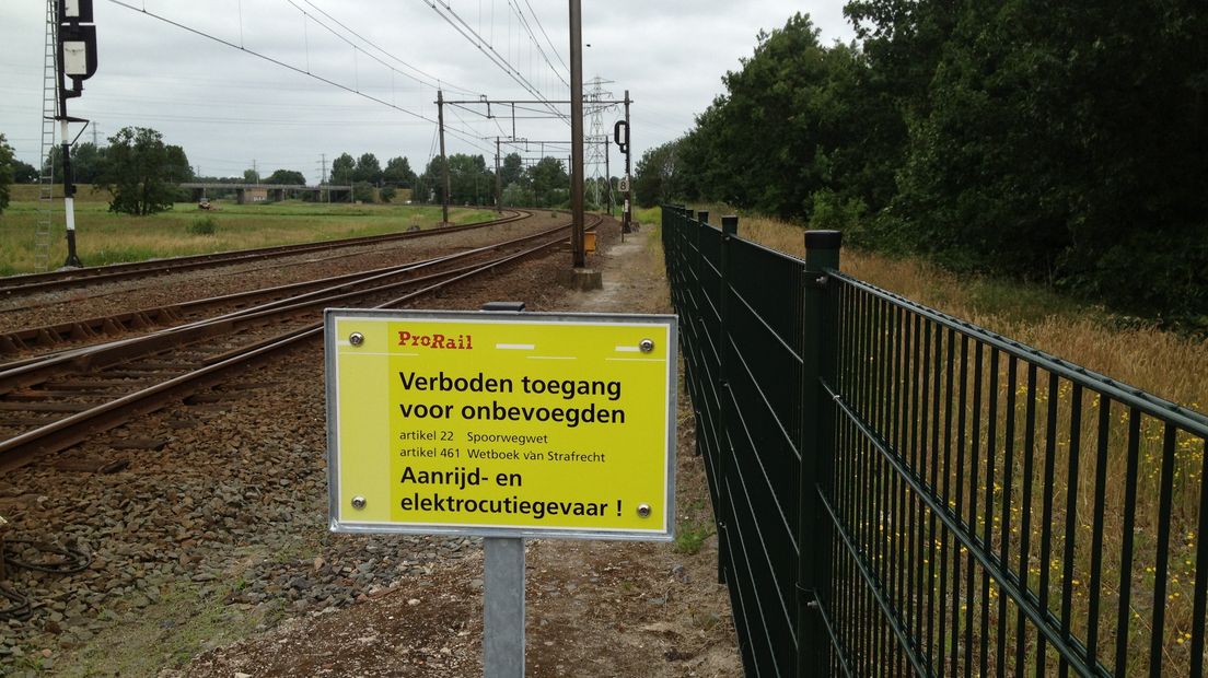 hekken om spoorlopers tegen te gaan bij Hoogeveen