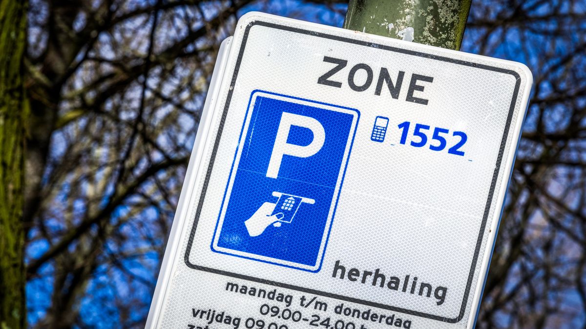 Parkeervergunning voor heel de stad van de baan, wel betalen in één woonwijk