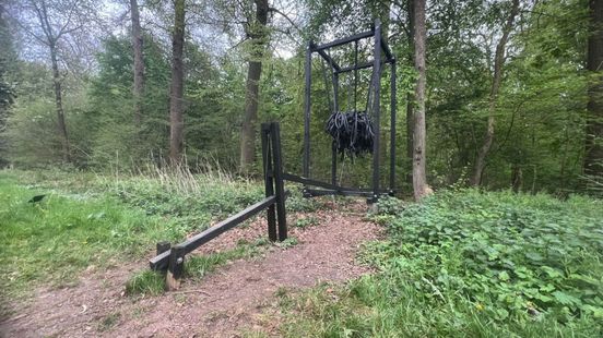 'Vernield' kunstwerk kunstroute 's-Heerenberg blijkt toch niet vernield