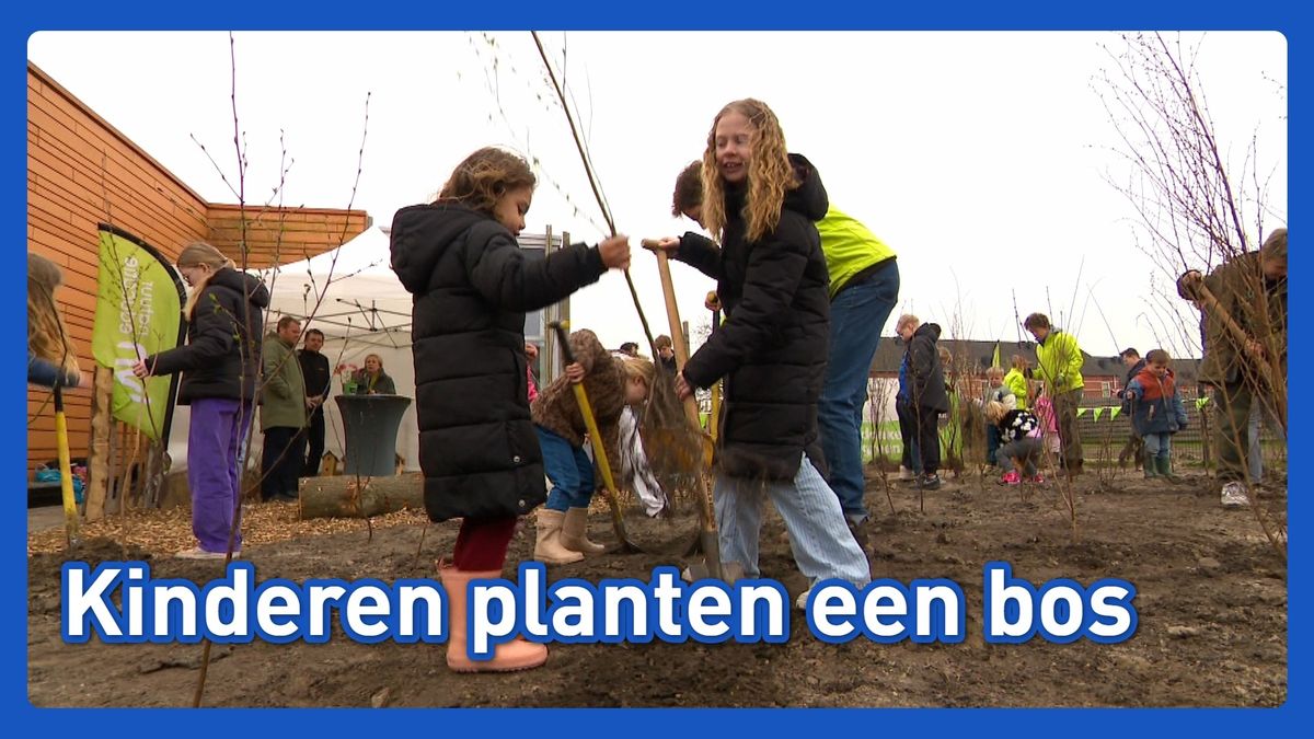 'Jullie gaan vandaag je eigen bos planten'