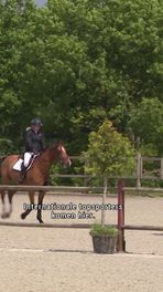 Paardenopleidingen verhuizen