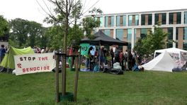 Studentenkampen vormen coalitie: 'Wij zijn verenigd in ons protest'