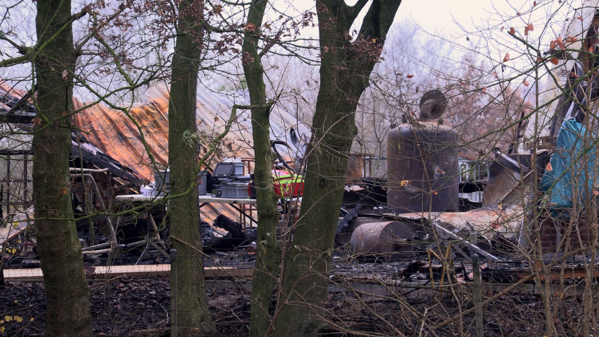 Zelhemmer voorlopig op vrije voeten.