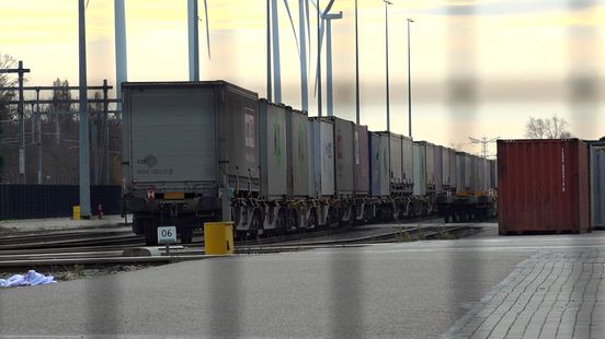 Provincie treedt niet op tegen railterminal die zonder natuurvergunning opereert Home