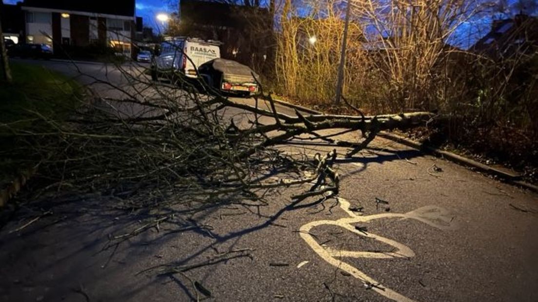 De omgewaaide boom lag dwars over de weg