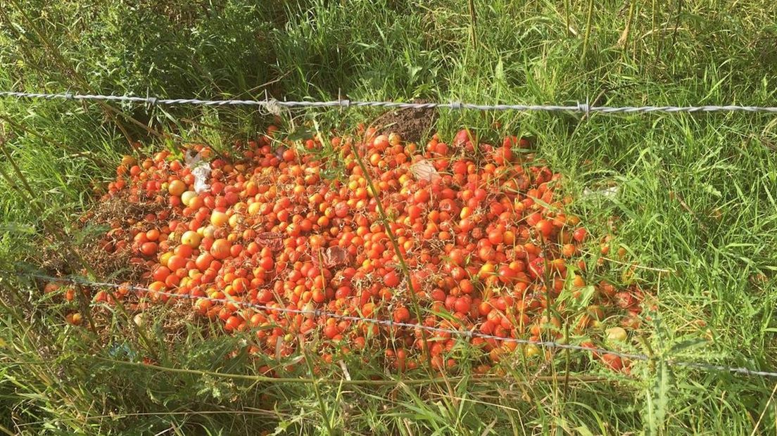 Tomaten gedumpt in Hengelo