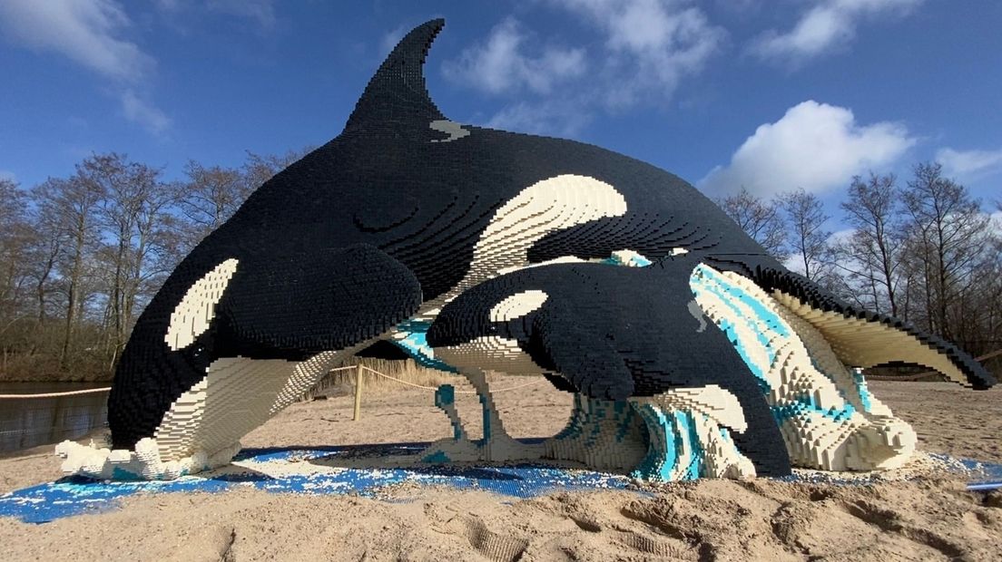 It grutste byld fan boustientsjes is de orka mei jong